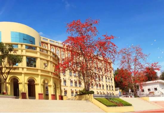 1666663455317076236.png 校招公告|深圳市南头中学:百年书院,寻找发光的你1906.png