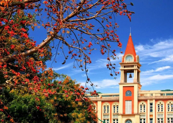 1666663462912010719.png 校招公告|深圳市南头中学:百年书院,寻找发光的你1923.png