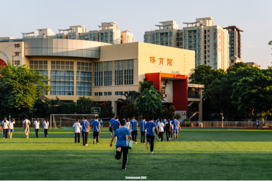 1666663479175075839.png 校招公告|深圳市南头中学:百年书院,寻找发光的你1950.png