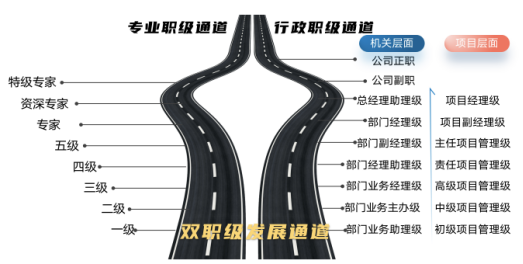 双职级.jpg